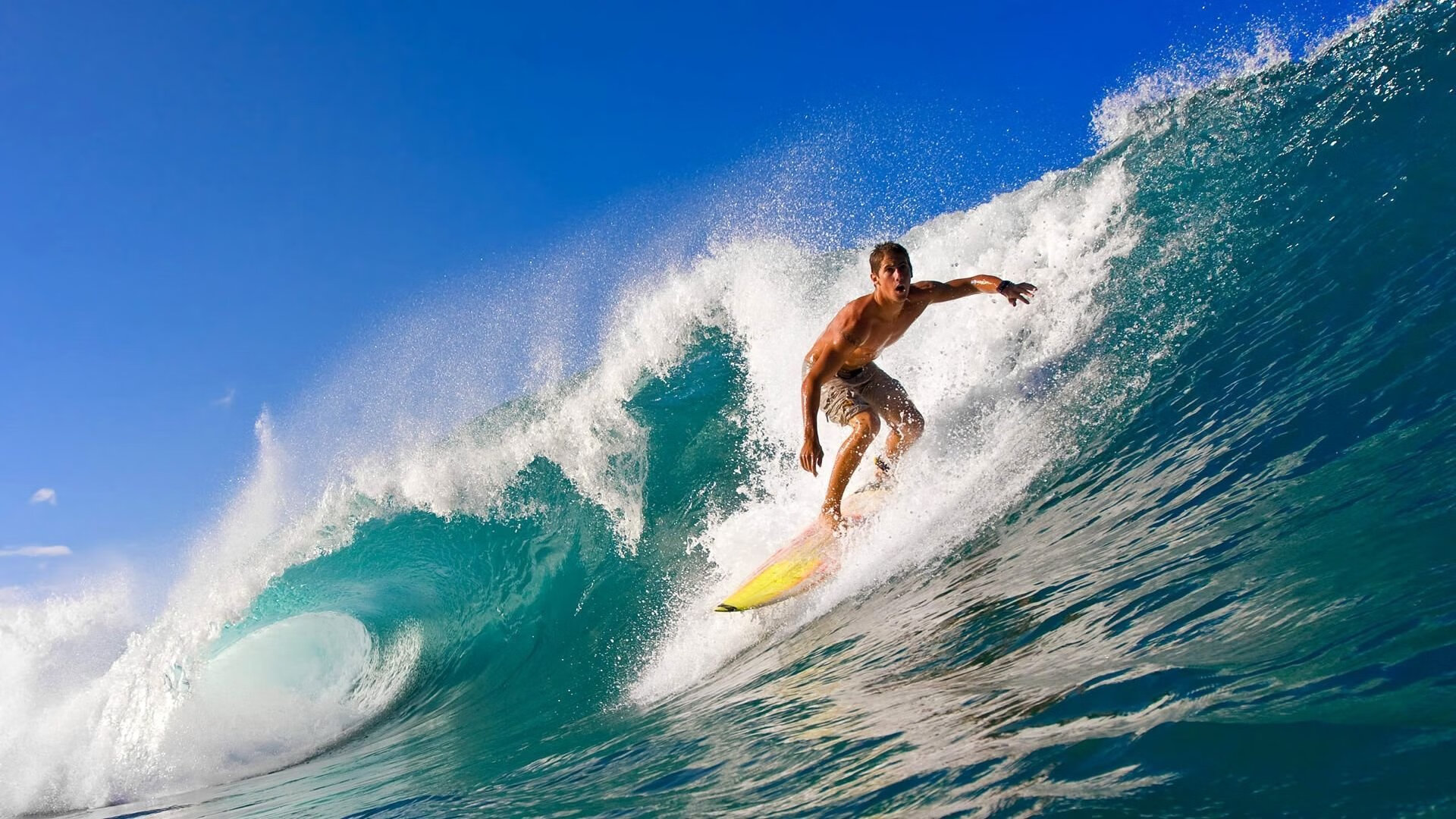 新西兰全黑队凭借无懈可击的球场控制力，战术执行完美，新西兰全黑队队员介绍